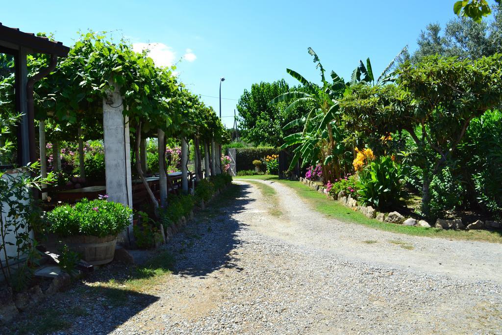 카리아티 Agriturismo Il Maresciallo 빌라 외부 사진